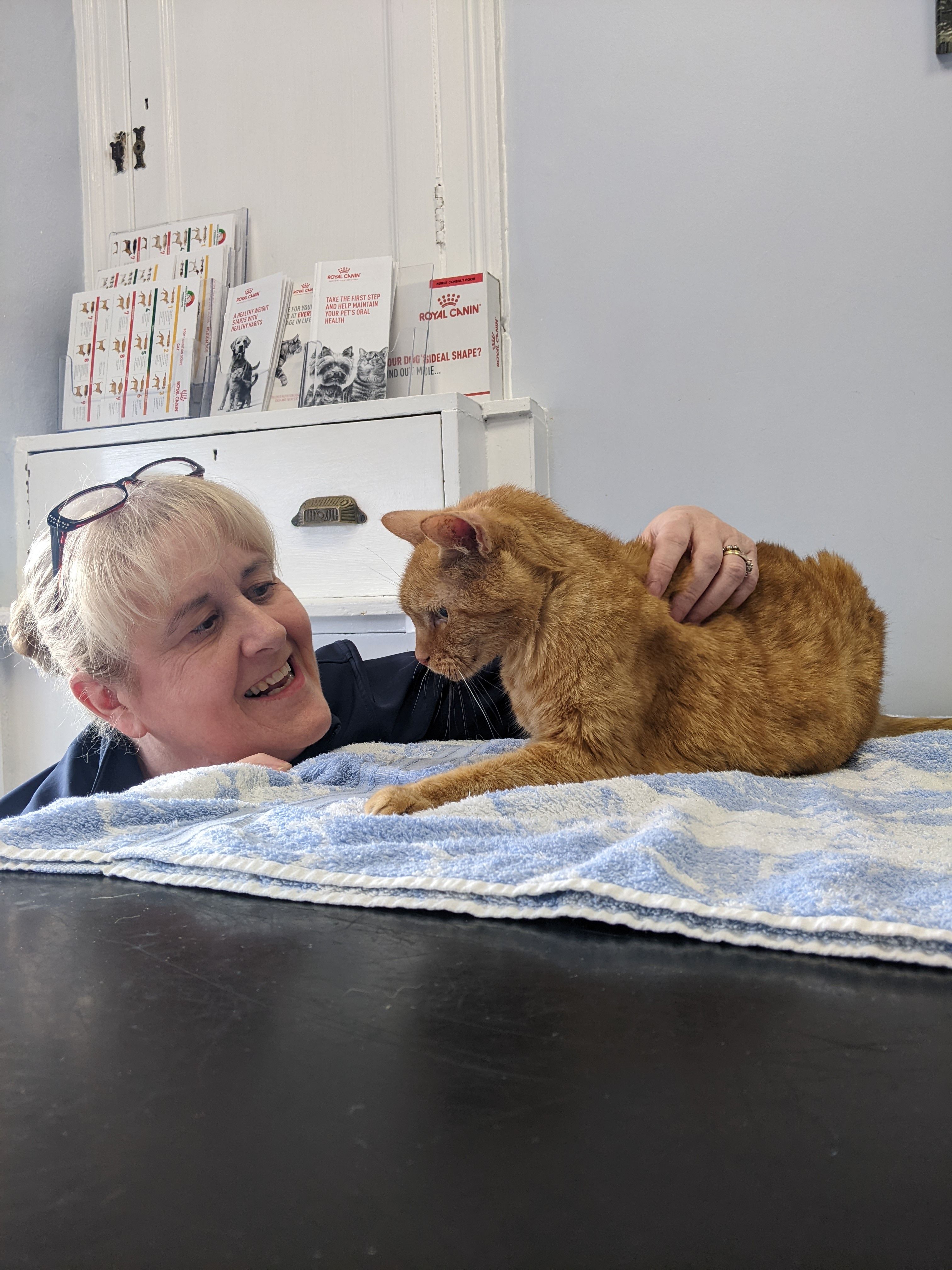Anne Abbiss with Oscar her ginger cat