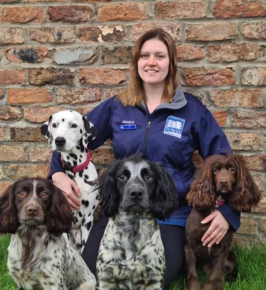 Jessica Jacques and her four dogs