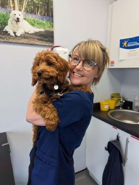 Linda McNulty with cockpoo Willow